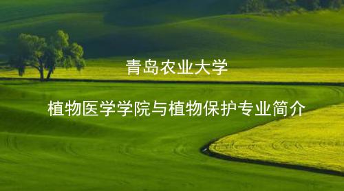伟德国际VICTOR1946植物保护专业介绍